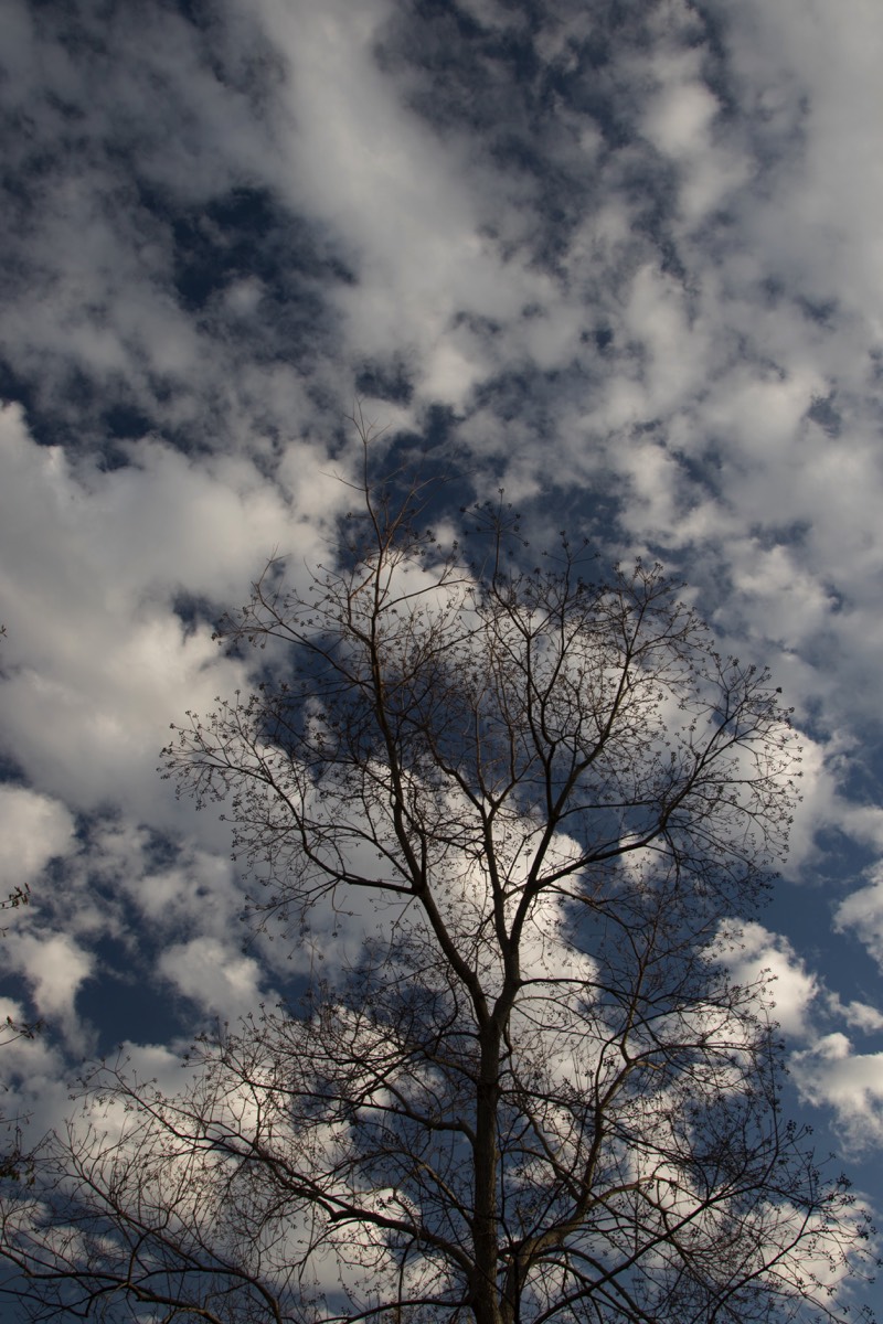 Stacks Image 119